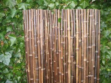 Bamboerolschermen , Bamboe , Bamboematten , Bamboescherm ,