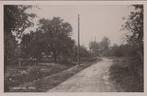WELY - Groenestraat, Verzenden, Gelopen