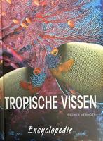 9789039602652 Tropische Aquarium-vissen encyclopedie, Boeken, Gelezen, Esther J.J. Verhoef, Verzenden