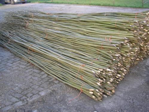 Verse wilgentenen bleeslatten  wilgenschutting wilgentakken, Tuin en Terras, Schuttingen, 6 meter of meer, Nieuw, Hout, 2 meter of meer