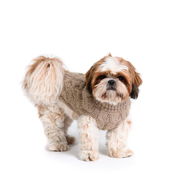 Hand gebreide Hondentrui Beige (Truien, Hondenkleding), Dieren en Toebehoren, Hondenkleding, Hondenvest, Nieuw, Ophalen of Verzenden