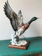 Capodimonte - Giuseppe Armani - Beeld, Opstijgende eend - 40, Antiek en Kunst