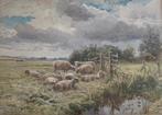 John Isaac Richardson, RA. RI. ROI. (1836-1913) - Sheep in a