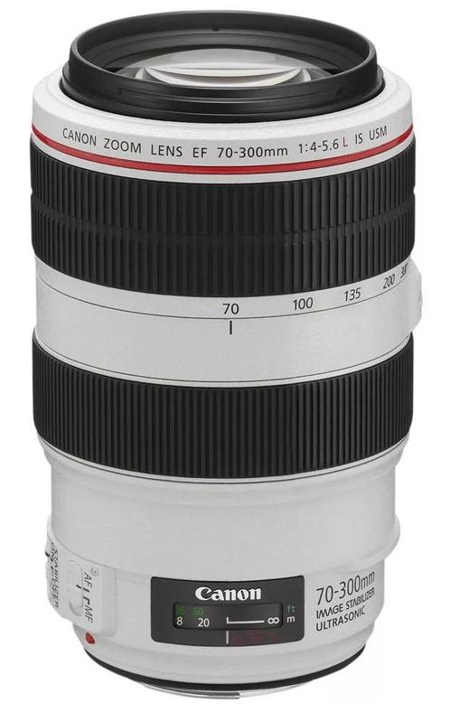 Canon EF 70-300mm F/4-5.6L IS USM Lens, Audio, Tv en Foto, Fotografie | Lenzen en Objectieven, Zo goed als nieuw, Verzenden