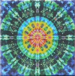 cd box - Grateful Dead - Sunshine Daydream (Veneta, Orego..., Cd's en Dvd's, Cd's | Rock, Zo goed als nieuw, Verzenden