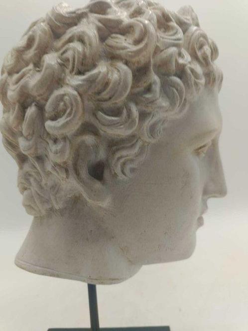 sculptuur, Testa di Eros - 33 cm - marmerstof, Antiek en Kunst, Antiek | Overige Antiek
