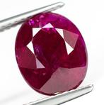 Robijn - 5.19 ct - Lotus Gemology - Rood (geen warmte,, Nieuw