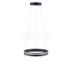 PAUL NEUHAUS Q-Vito Hanglamp LED, antraciet - 40 cm, Verzenden, Nieuw