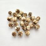 Silk Road, Centraal-Aziatisch Marmer XS Meloenvormige