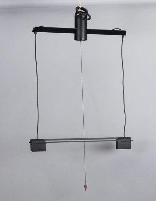 Hanglamp Two of a Kind Frans van Nieuwenborg, Martijn Wegman, Antiek en Kunst, Kunst | Designobjecten