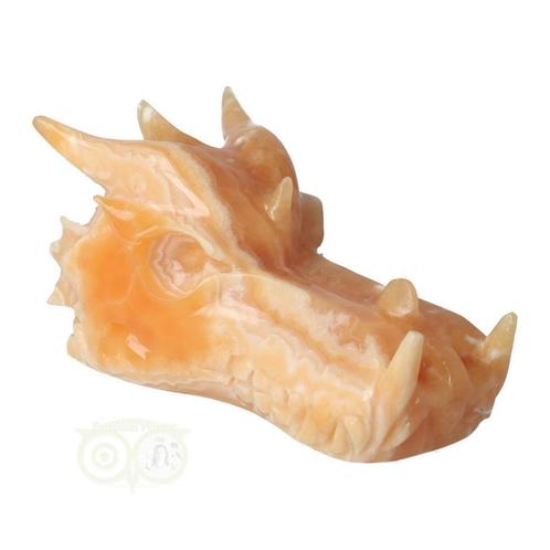 Calciet drakenschedel Nr 278 - 957 gram, Sieraden, Tassen en Uiterlijk, Edelstenen, Nieuw, Verzenden