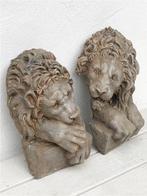 sculptuur, Teste Leoni Canova style - 30 cm - Steen, Antiek en Kunst