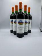 1994 Vina Aquitania Santiago, Valle del Maipo - Maipo Valley, Nieuw