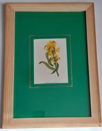 Wild Flowers by Anne Pratt - A set of 8 mounted and framed, Antiek en Kunst