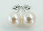 Zonder minimumprijs - Oorstekers - 14 karaat Witgoud Parel -