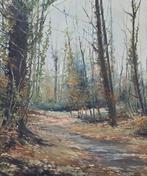 Albert Clota i Gras (1928) - El estanque