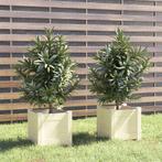 vidaXL Plantenbakken 2 st 31x31x31 cm massief grenenhout wit, Verzenden, Minder dan 60 cm, Nieuw, Hout