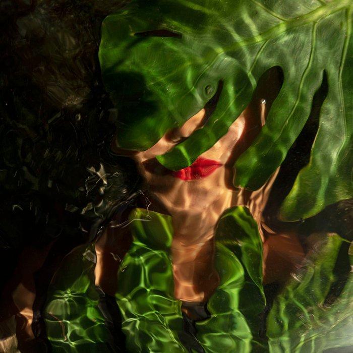 Carla Sutera Sardo - AQVA JUNGLE, Antiek en Kunst, Kunst | Designobjecten