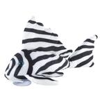 CeramicNature Zebra Pleco Plush 30x18x15cm, Nieuw, Ophalen of Verzenden