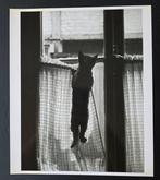 Willy Ronis (1910-2009) - Les Chats