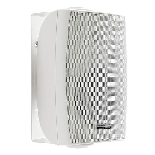 Audiophony EHP520w HiFi luidspreker wit 40 watt - 100 volt (, Muziek en Instrumenten, Speakers, Verzenden
