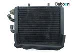 Radiateur Aprilia Leonardo 150 1996-1998, Motoren, Verzenden, Gebruikt