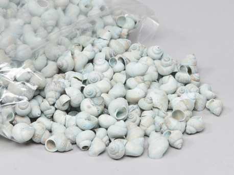Umachi schelpen blue washed, 1 kilo, Hobby en Vrije tijd, Knutselen, Nieuw, Ophalen of Verzenden