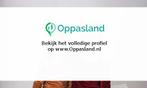 Marlies zoekt een oppas in Papendrecht voor 2 kinderen.