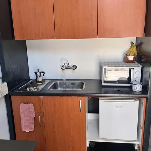 Gerenoveerde studio met tuin en volledige inrichting gevonde, Huizen en Kamers, Kamers te huur, 20 tot 35 m², Leiden