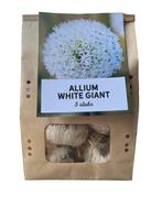 Actie 5x White Giant - Allium bollen nu voor 18.99, Verzenden