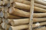 Milieuvriendelijk duurzaam hardhout Robinia palen geschuurd, Ophalen, Nieuw, Palen, Hardhout