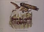 Talon the Aussie Osprey, Nieuw, Verzenden