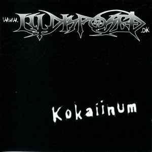 cd - Illdisposed - Kokaiinum, Cd's en Dvd's, Cd's | Overige Cd's, Zo goed als nieuw, Verzenden