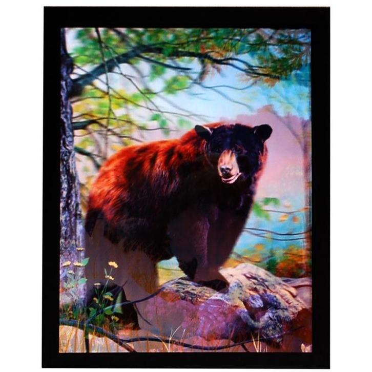 3d schilderij Beer 3 afbeeldingen NIEUW, Huis en Inrichting, Woonaccessoires | Schilderijen, Tekeningen en Foto's, Nieuw, Ophalen of Verzenden