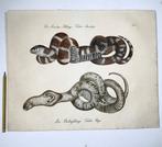 Carl Joseph Brodtmann (b. 1787) - Large format (44.3cm) -, Antiek en Kunst, Antiek | Boeken en Bijbels
