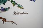 Villeroy & Boch - Sandwichbord - Botanica - Vitro Porcelaine