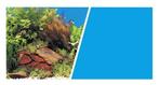 Achterwand poster planten/blauw (Achterwandposters), Dieren en Toebehoren, Vissen | Aquaria en Toebehoren, Ophalen of Verzenden