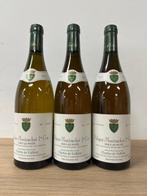 2003 Charles de Vallière Sous le Puits - Puligny, Nieuw