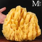 Natuurlijke sponzen uit de Middellandse Zee Taxidermie, Nieuw