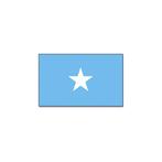 Gevelvlag/vlaggenmast vlag Somalie 90 x 150 cm - Somalie v.., Verzenden, Nieuw