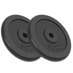 vidaXL Halterschijven 2 st 2x15 kg gietijzer, Verzenden, Nieuw