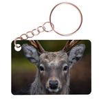 Sleutelhanger 6x4cm - Hert - Close up NIEUW, Verzamelen, Ophalen of Verzenden, Nieuw