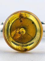 Verzamelbare Baltische barnsteenring – 925 zilver – gevangen, Antiek en Kunst