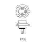ProPlus Autolamp - 12V - 60/55W - P43T - H4 - blisterverp..., Ophalen of Verzenden, Nieuw