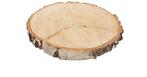 Boomstamschijf Berkenschijf rond ca. 23-26 cm, Hobby en Vrije tijd, Knutselen, Ophalen of Verzenden, Nieuw