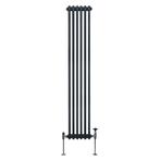 Traditionele 2-kolomsradiator - 1800 x 292 mm -, Doe-het-zelf en Verbouw, Verwarming en Radiatoren, Verzenden, Nieuw