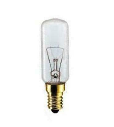 Buislamp 25 watt helder 100x28mm. gloeilamp, Huis en Inrichting, Lampen | Losse lampen, Gloeilamp, Nieuw, Minder dan 30 watt, E14 (klein)