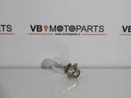 Lamp PX15D 12V 35/35W, Motoren, Onderdelen | Overige, Ophalen of Verzenden, Nieuw
