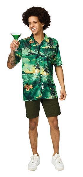 Hawaii Blouse Zomer Groen Toppers Model - 58, Kleding | Dames, Carnavalskleding en Feestkleding, Verzenden