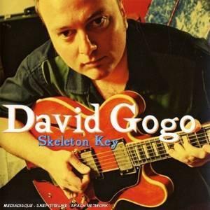 cd - David Gogo - Skeleton Key, Cd's en Dvd's, Cd's | Overige Cd's, Zo goed als nieuw, Verzenden